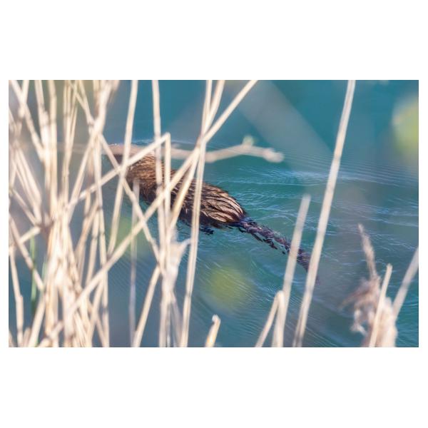 PHOTO84, CLUB, 84 , LUBERON